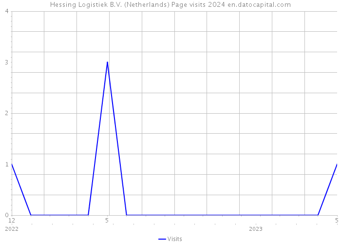 Hessing Logistiek B.V. (Netherlands) Page visits 2024 
