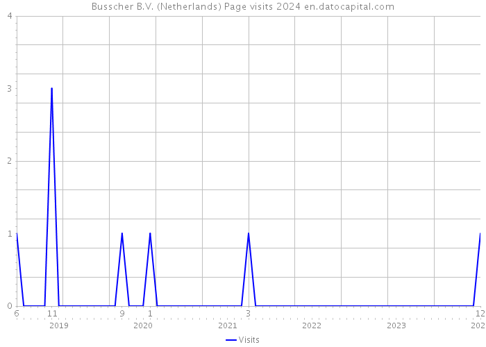 Busscher B.V. (Netherlands) Page visits 2024 