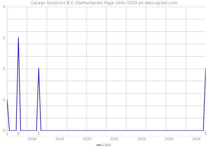 Garage Solutions B.V. (Netherlands) Page visits 2024 