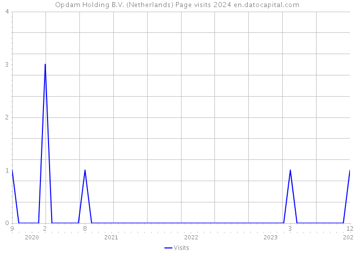 Opdam Holding B.V. (Netherlands) Page visits 2024 