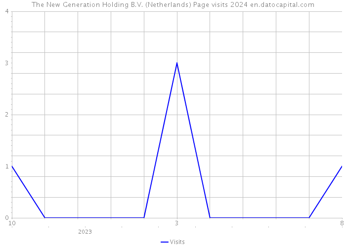 The New Generation Holding B.V. (Netherlands) Page visits 2024 