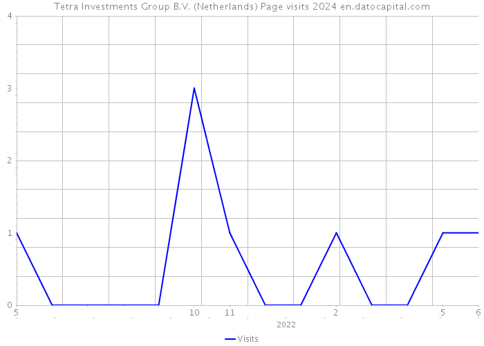 Tetra Investments Group B.V. (Netherlands) Page visits 2024 
