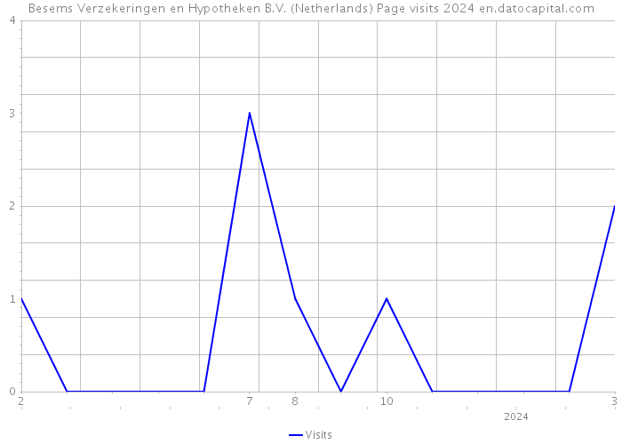 Besems Verzekeringen en Hypotheken B.V. (Netherlands) Page visits 2024 