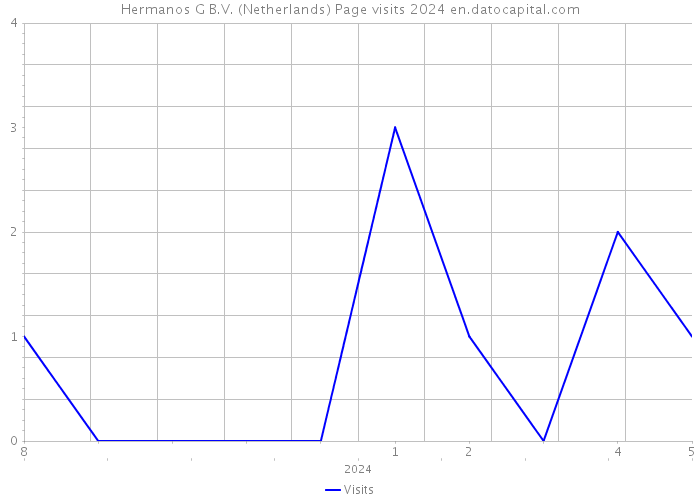 Hermanos G B.V. (Netherlands) Page visits 2024 