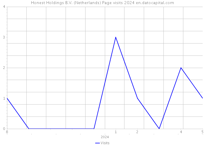 Honest Holdings B.V. (Netherlands) Page visits 2024 