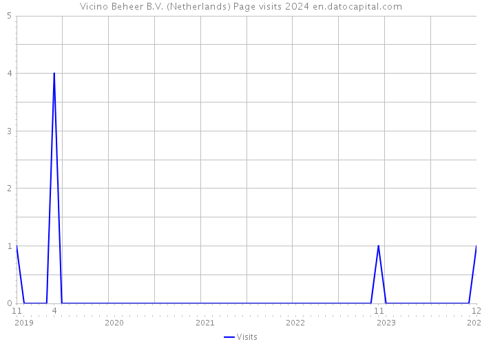 Vicino Beheer B.V. (Netherlands) Page visits 2024 