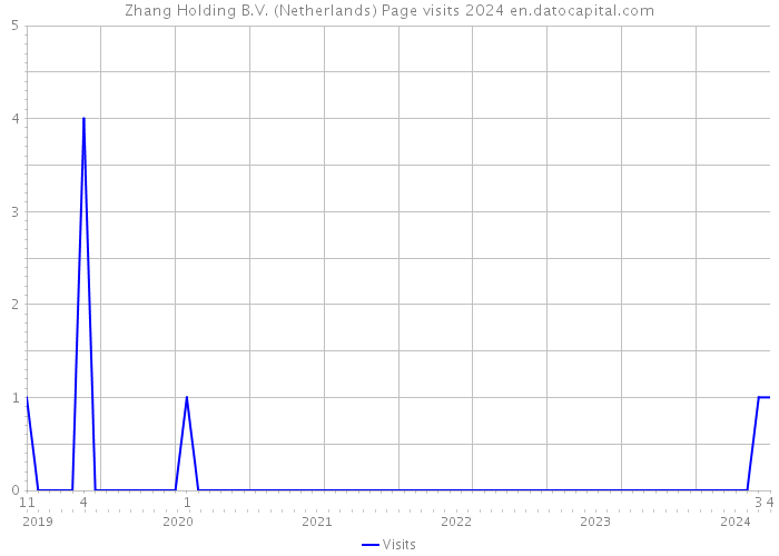 Zhang Holding B.V. (Netherlands) Page visits 2024 