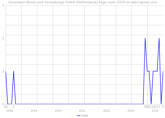Viessmann Besitz und Verwaltungs GmbH (Netherlands) Page visits 2024 