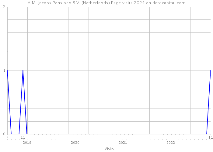 A.M. Jacobs Pensioen B.V. (Netherlands) Page visits 2024 