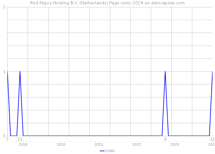 Red Nigoy Holding B.V. (Netherlands) Page visits 2024 