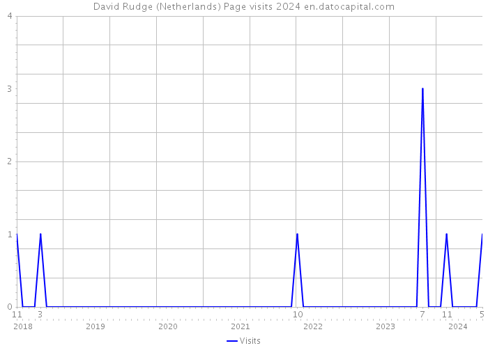 David Rudge (Netherlands) Page visits 2024 