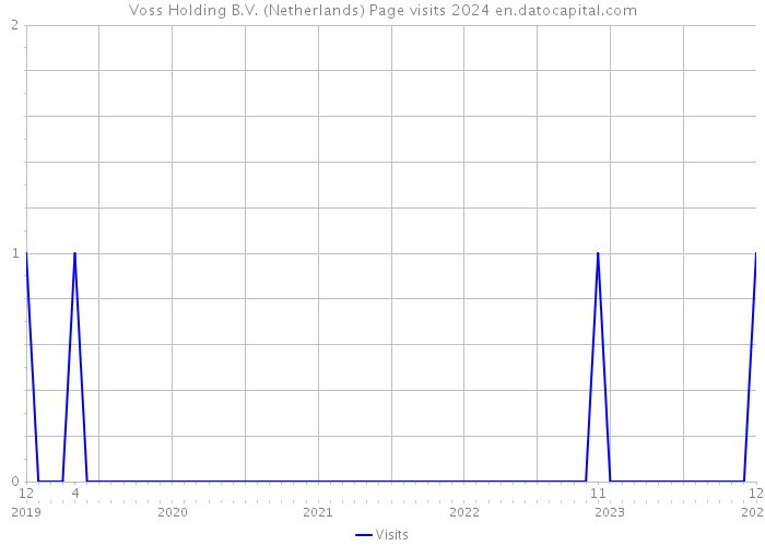 Voss Holding B.V. (Netherlands) Page visits 2024 