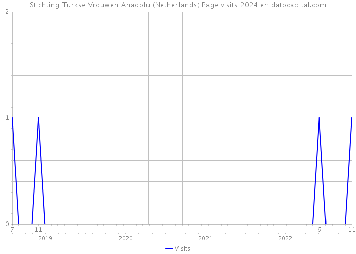 Stichting Turkse Vrouwen Anadolu (Netherlands) Page visits 2024 