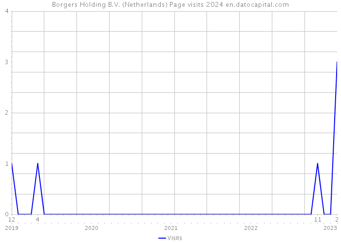 Borgers Holding B.V. (Netherlands) Page visits 2024 