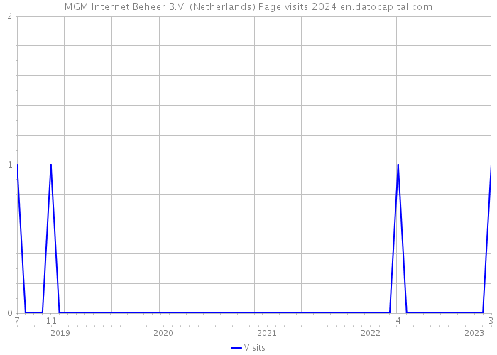 MGM Internet Beheer B.V. (Netherlands) Page visits 2024 