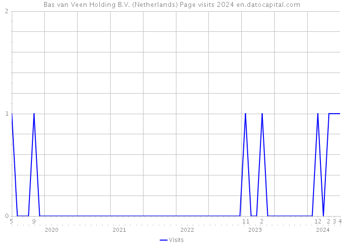 Bas van Veen Holding B.V. (Netherlands) Page visits 2024 