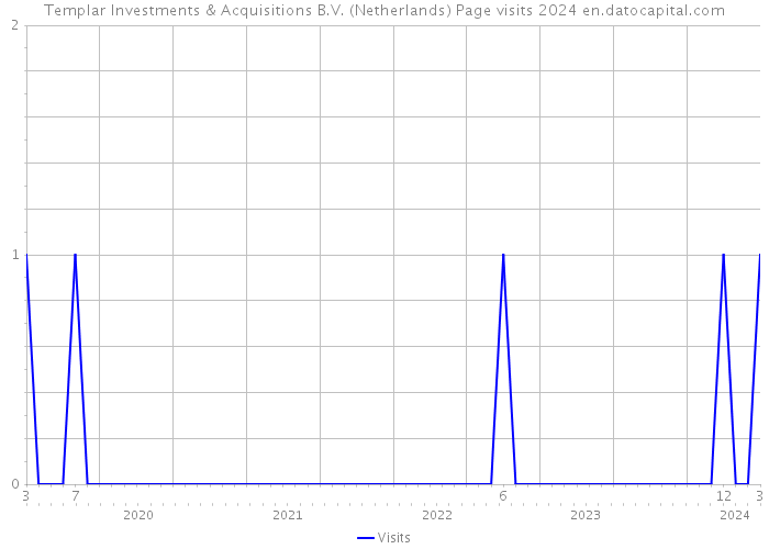 Templar Investments & Acquisitions B.V. (Netherlands) Page visits 2024 