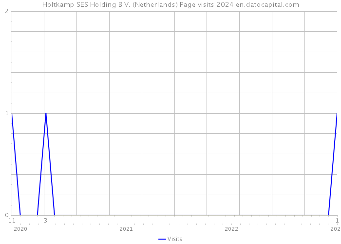 Holtkamp SES Holding B.V. (Netherlands) Page visits 2024 