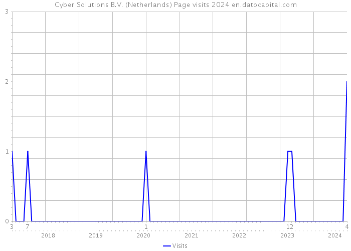 Cyber Solutions B.V. (Netherlands) Page visits 2024 