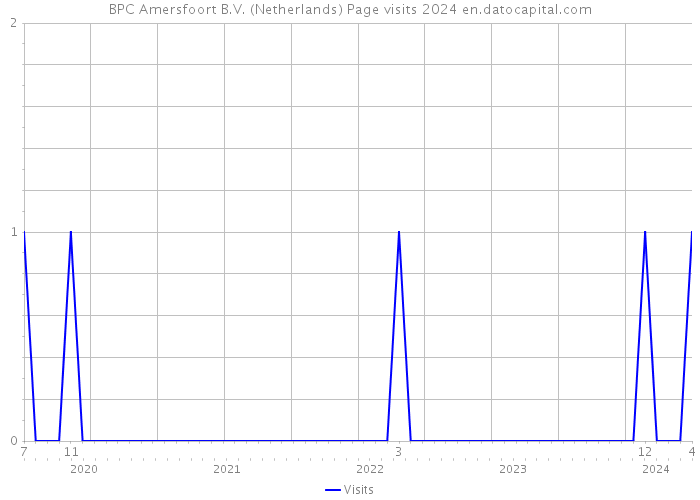 BPC Amersfoort B.V. (Netherlands) Page visits 2024 