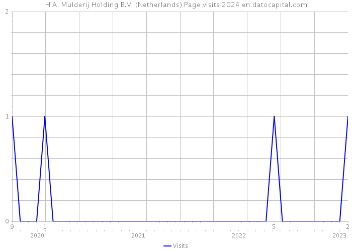 H.A. Mulderij Holding B.V. (Netherlands) Page visits 2024 