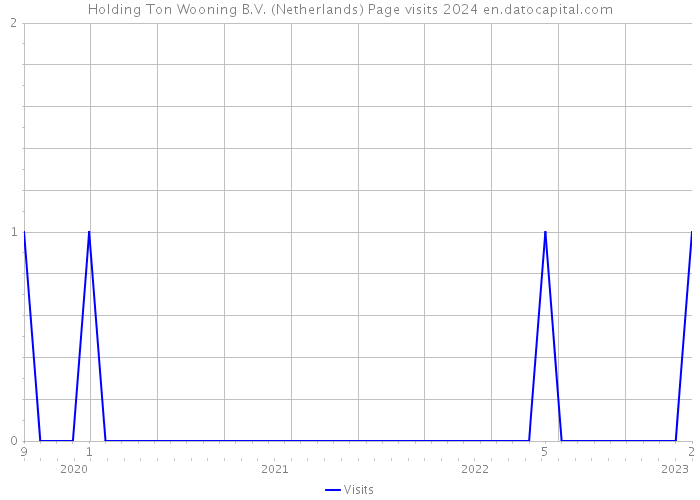 Holding Ton Wooning B.V. (Netherlands) Page visits 2024 