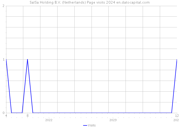 SalSa Holding B.V. (Netherlands) Page visits 2024 