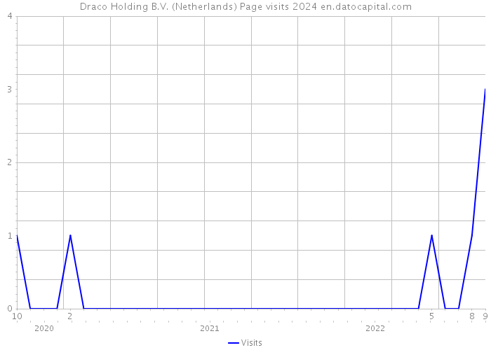 Draco Holding B.V. (Netherlands) Page visits 2024 