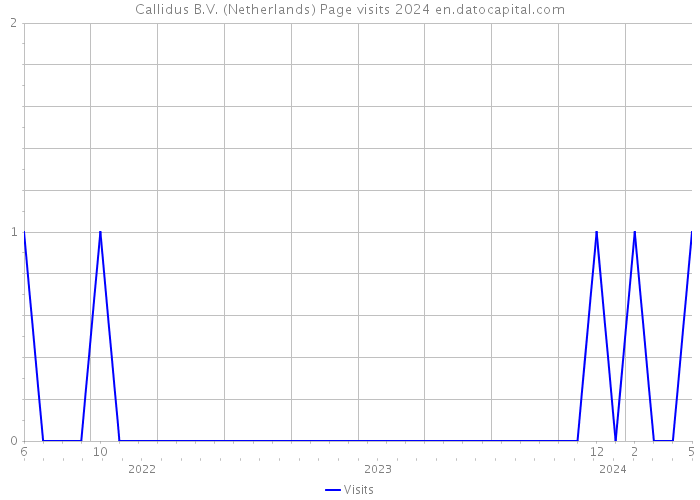 Callidus B.V. (Netherlands) Page visits 2024 