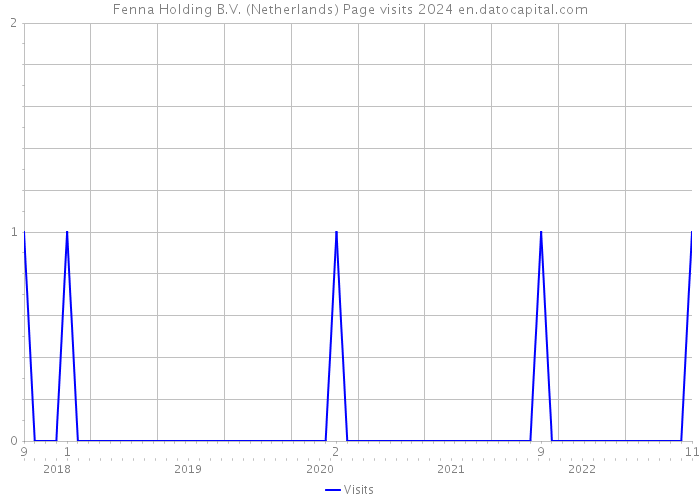 Fenna Holding B.V. (Netherlands) Page visits 2024 