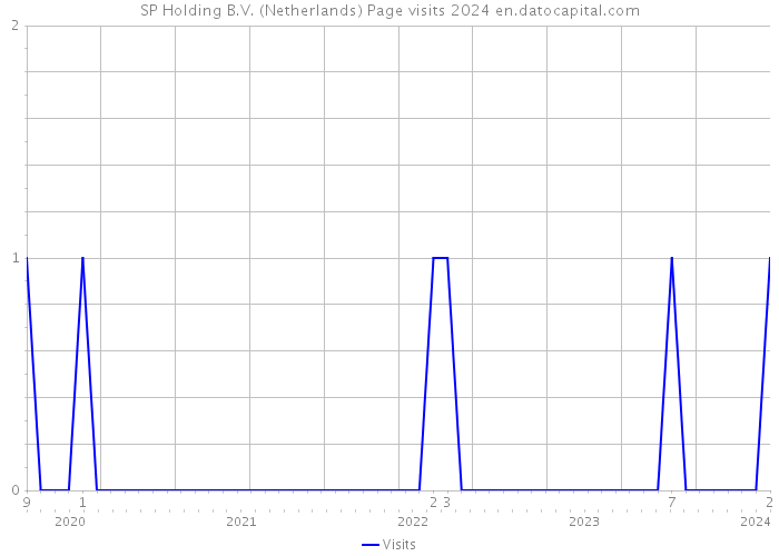 SP Holding B.V. (Netherlands) Page visits 2024 