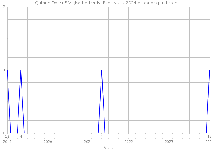 Quintin Doest B.V. (Netherlands) Page visits 2024 