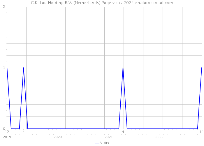 C.K. Lau Holding B.V. (Netherlands) Page visits 2024 