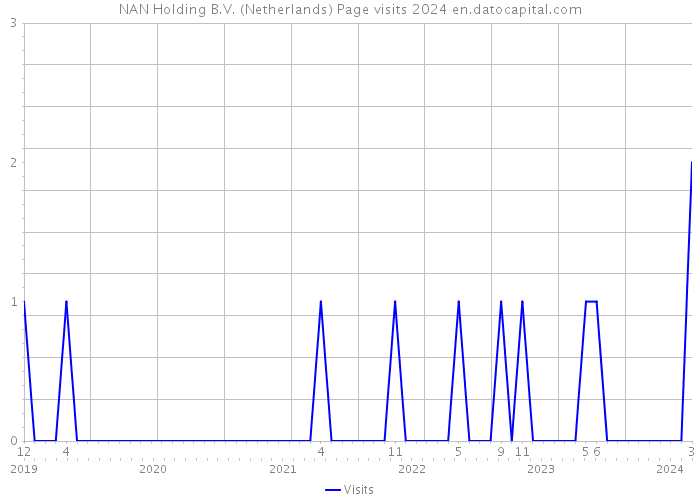 NAN Holding B.V. (Netherlands) Page visits 2024 