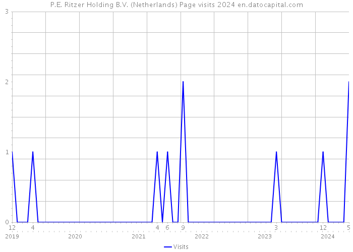 P.E. Ritzer Holding B.V. (Netherlands) Page visits 2024 