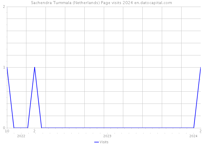 Sachendra Tummala (Netherlands) Page visits 2024 