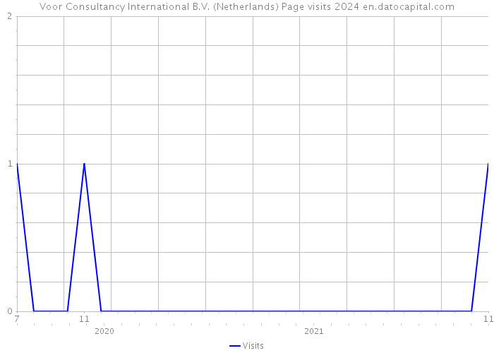 Voor Consultancy International B.V. (Netherlands) Page visits 2024 