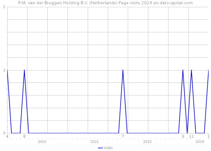P.M. van der Bruggen Holding B.V. (Netherlands) Page visits 2024 