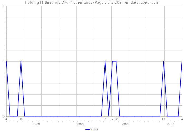 Holding H. Bisschop B.V. (Netherlands) Page visits 2024 