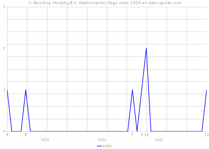 G. Bisschop Holding B.V. (Netherlands) Page visits 2024 