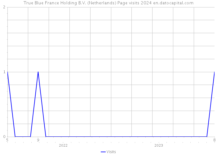 True Blue France Holding B.V. (Netherlands) Page visits 2024 