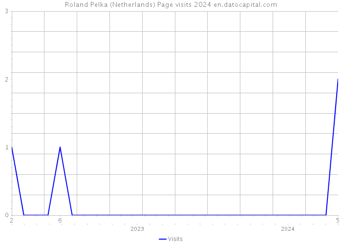 Roland Pelka (Netherlands) Page visits 2024 