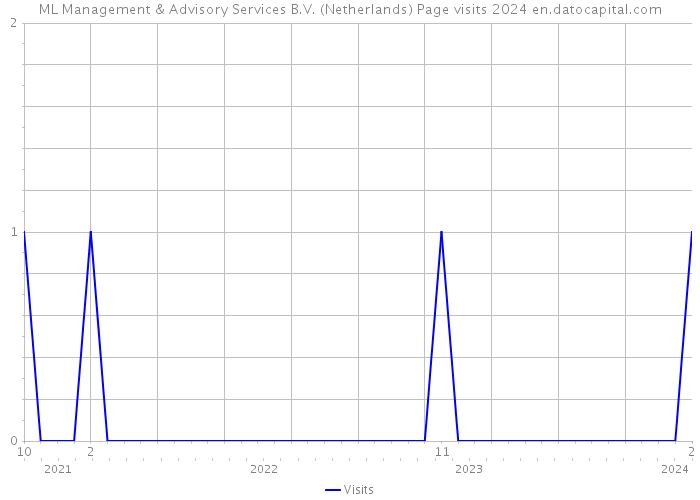 ML Management & Advisory Services B.V. (Netherlands) Page visits 2024 