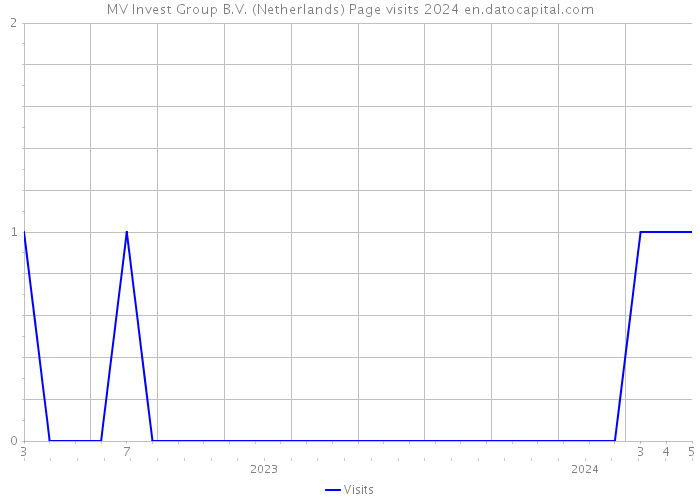 MV Invest Group B.V. (Netherlands) Page visits 2024 