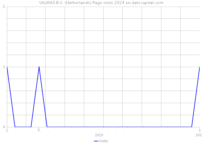 VALMAS B.V. (Netherlands) Page visits 2024 