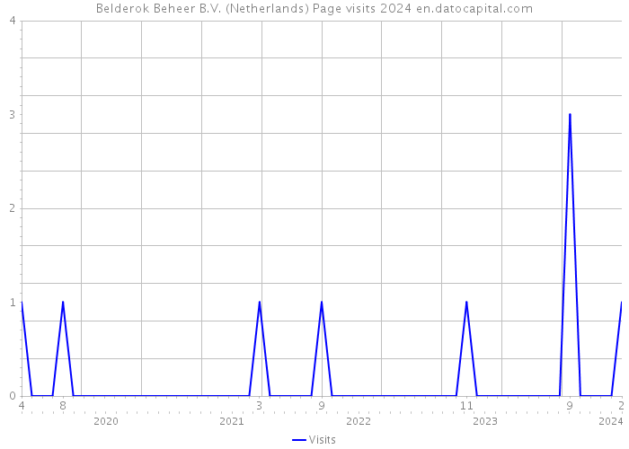 Belderok Beheer B.V. (Netherlands) Page visits 2024 