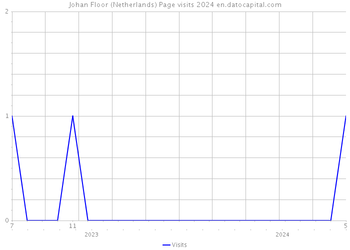 Johan Floor (Netherlands) Page visits 2024 