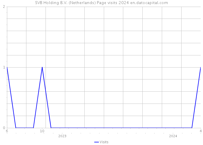 SVB Holding B.V. (Netherlands) Page visits 2024 