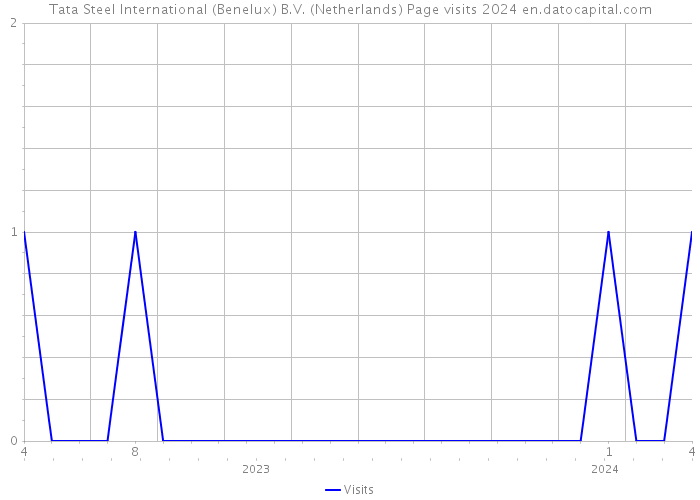 Tata Steel International (Benelux) B.V. (Netherlands) Page visits 2024 