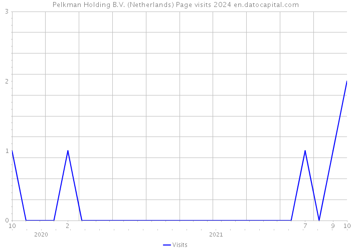 Pelkman Holding B.V. (Netherlands) Page visits 2024 